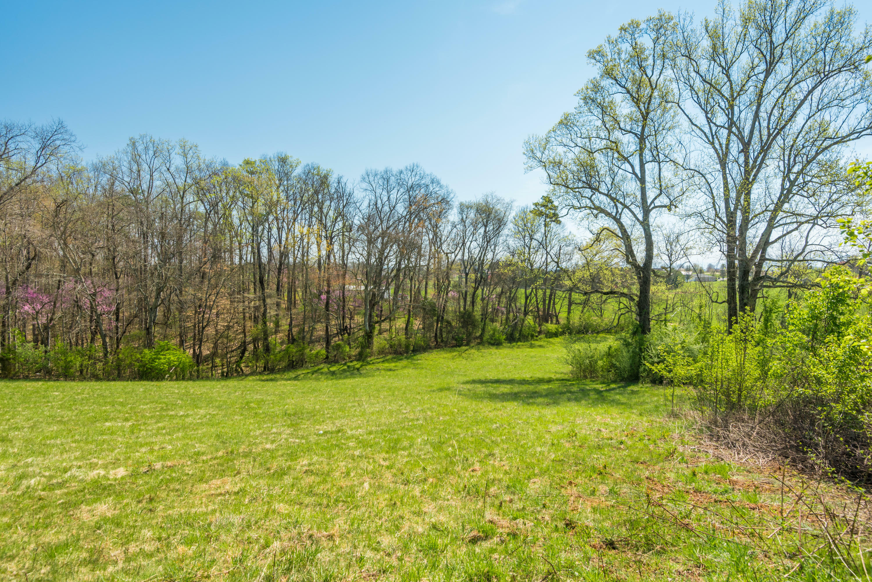 Property Photo:  2106 Kings View Loop  TN 37865 