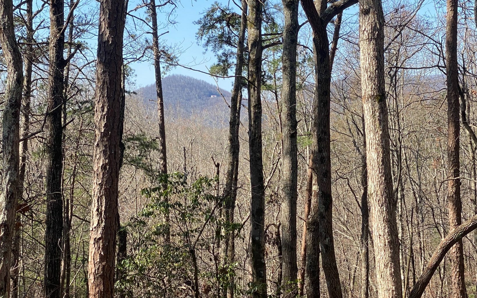 Lot19 Cohutta Overlook Trail  Blue Ridge GA 30513 photo