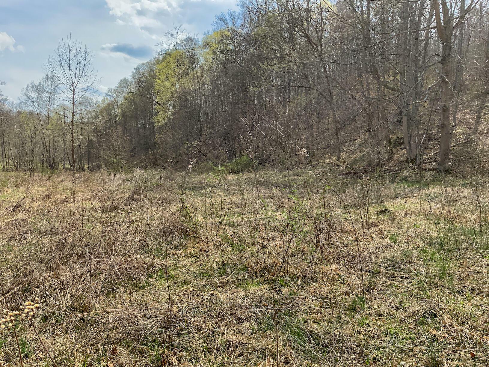 Property Photo: 0 Bray Hollow Road OH 45651