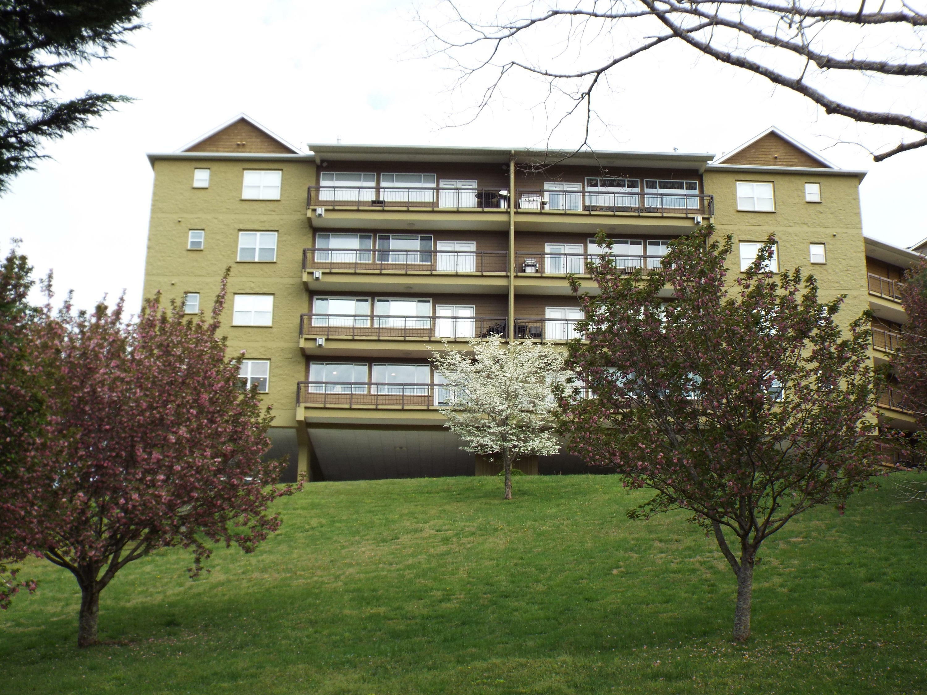 Property Photo:  338 Pinnacle View Way Unit 124  TN 37738 