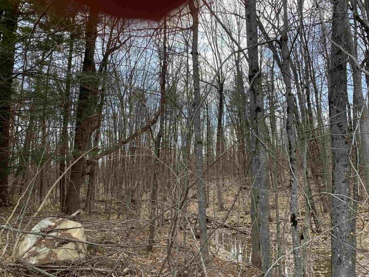 Property Photo:  40 Neal Hill Road  NH 03816 
