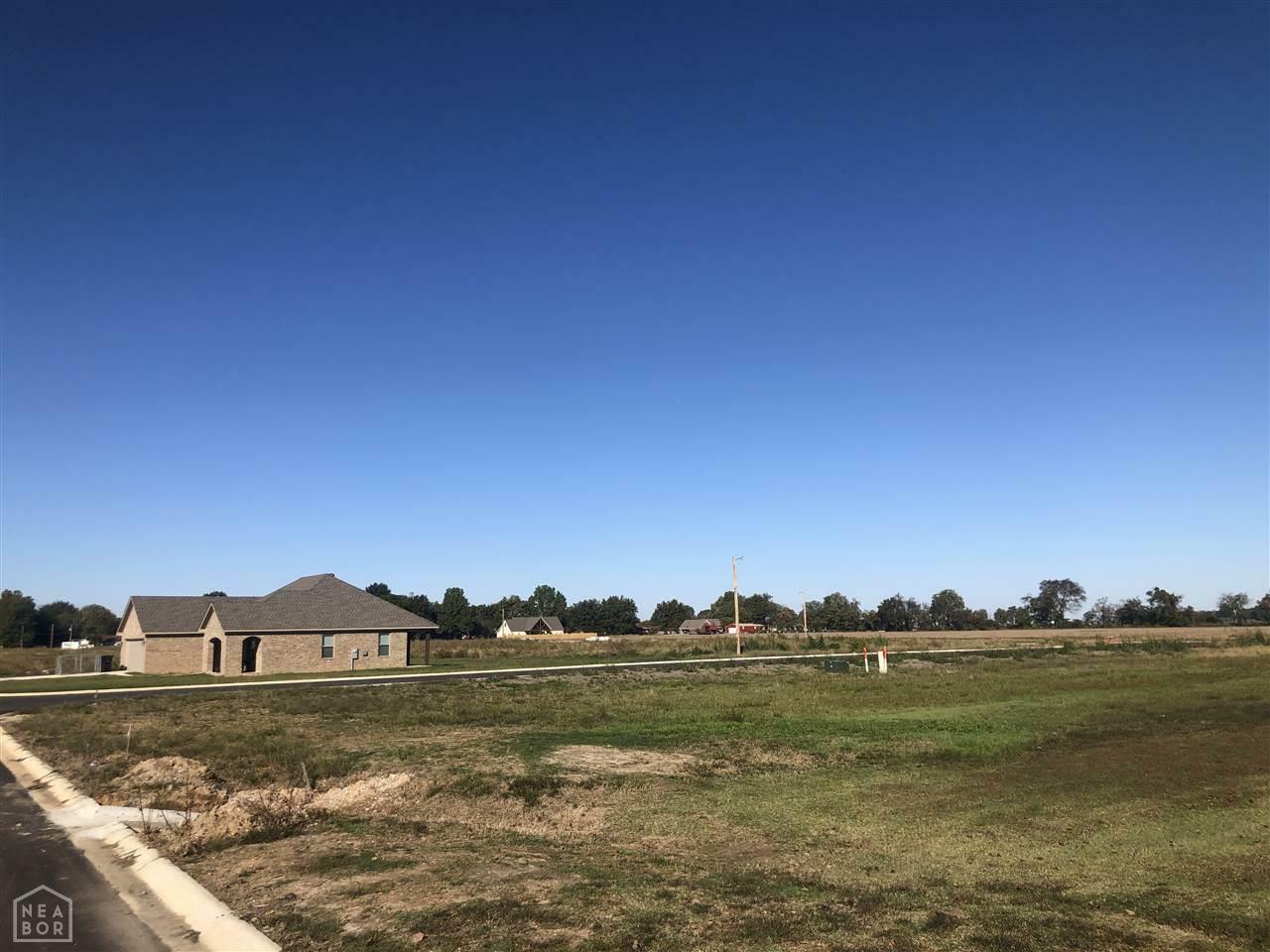 Property Photo:  Lot 11 Stella  AR 72472 