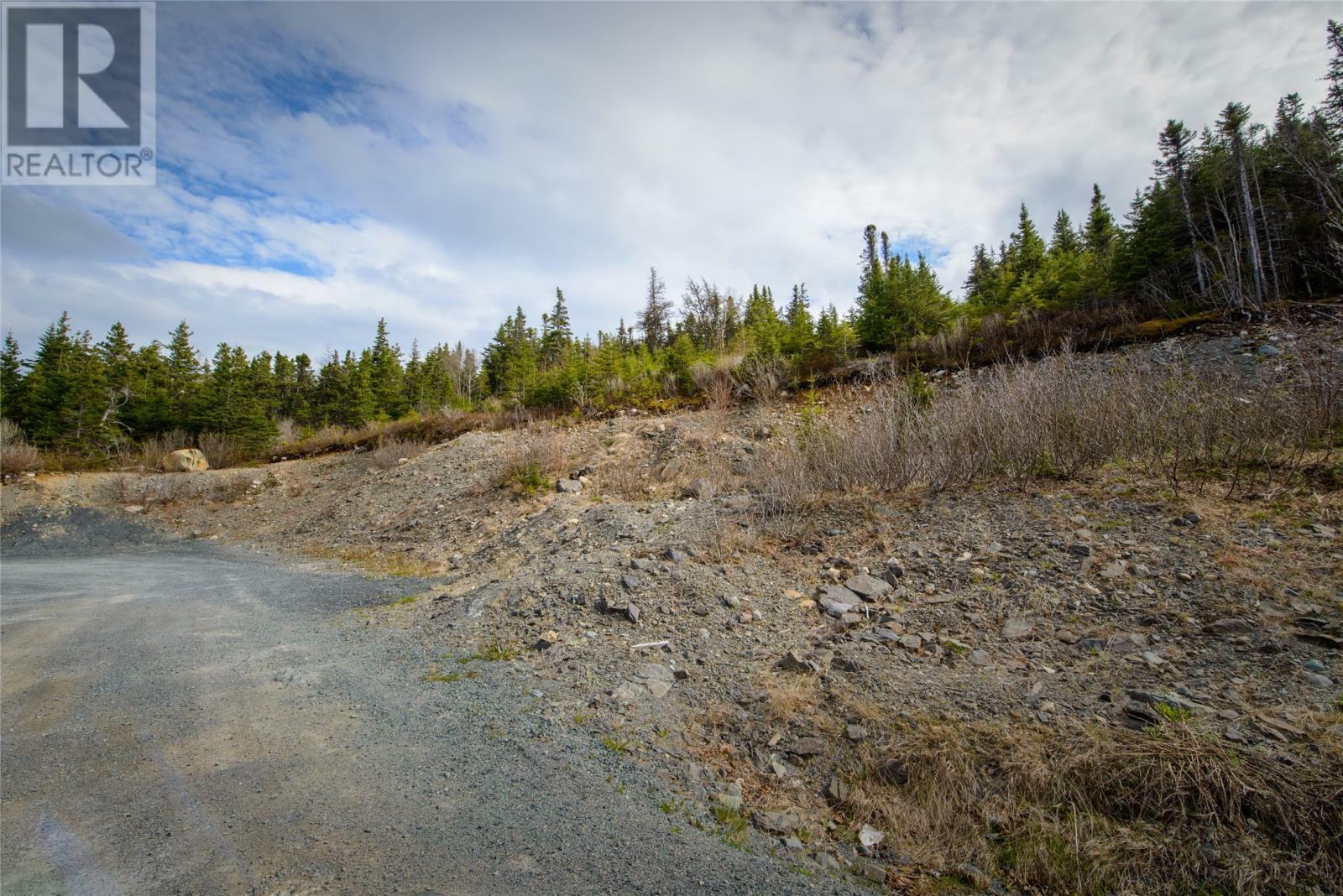Property Photo:  0 Track Road Extension  NL A0A 1C0 