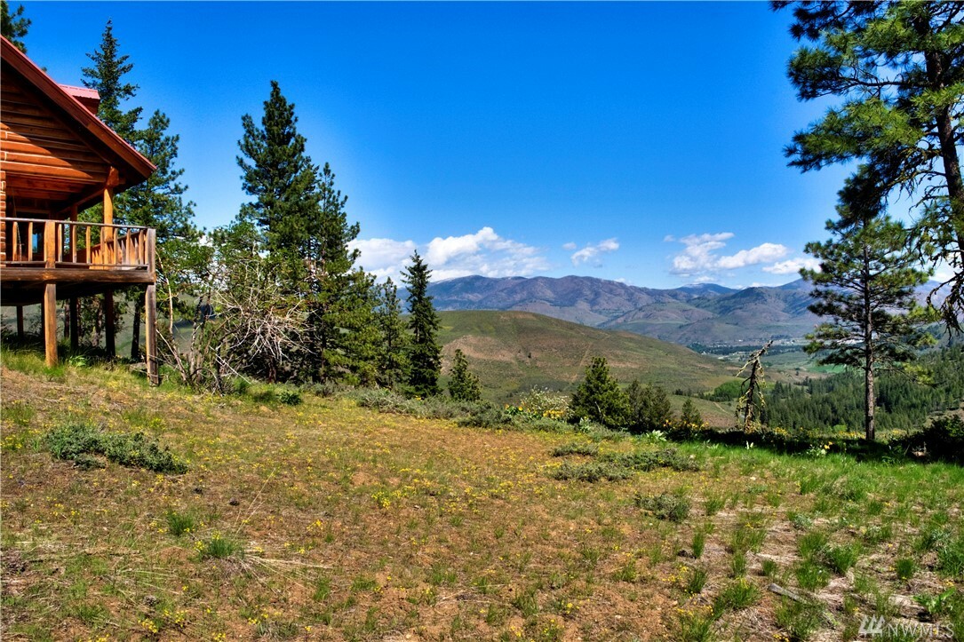 Property Photo:  28 Nighthawk Ridge Rd  WA 98862 