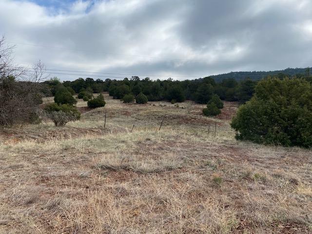 Property Photo:  2-A Snow Line Road  NM 87008 