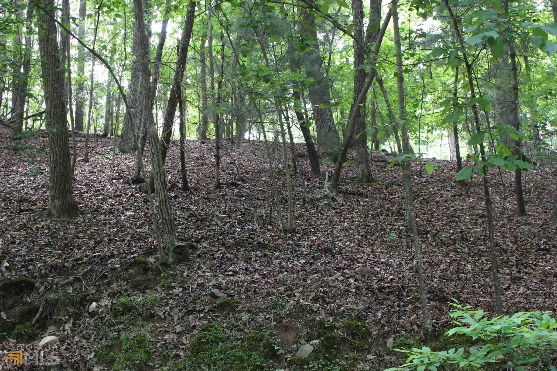 Property Photo: 0 Bowline Dr - Lt 96 Drive GA 30540