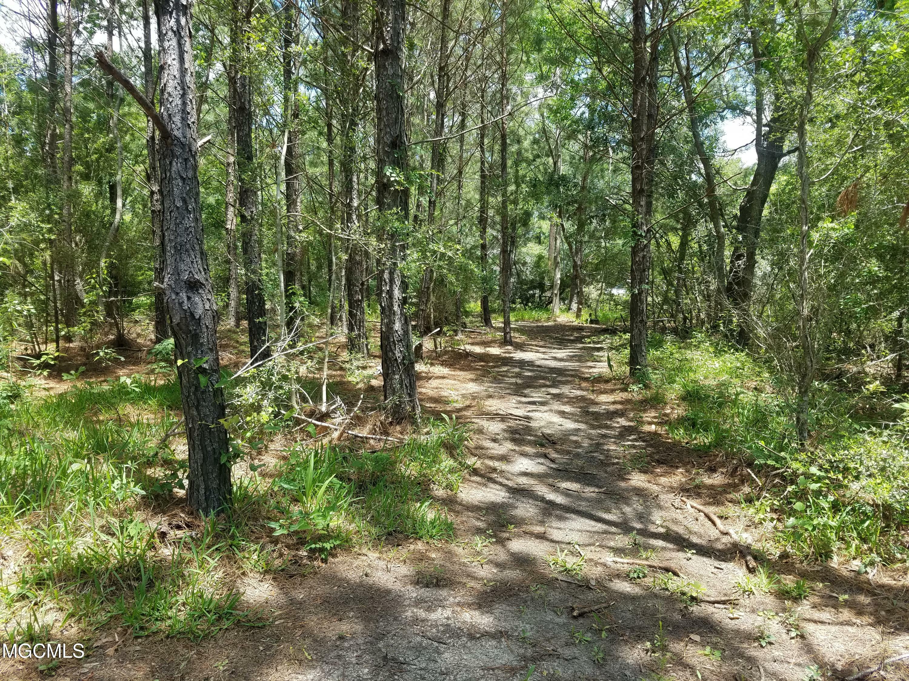 2019 Galere Road  Bay Saint Louis MS 39520 photo