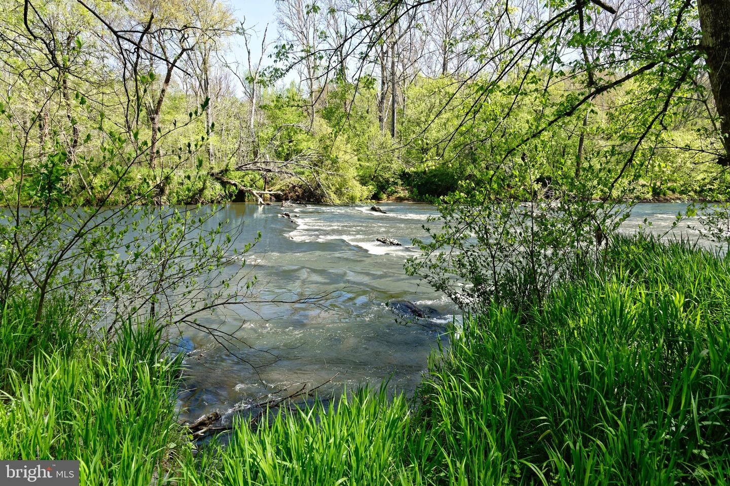 Property Photo:  Lot 2 Pine River Road  VA 22508 