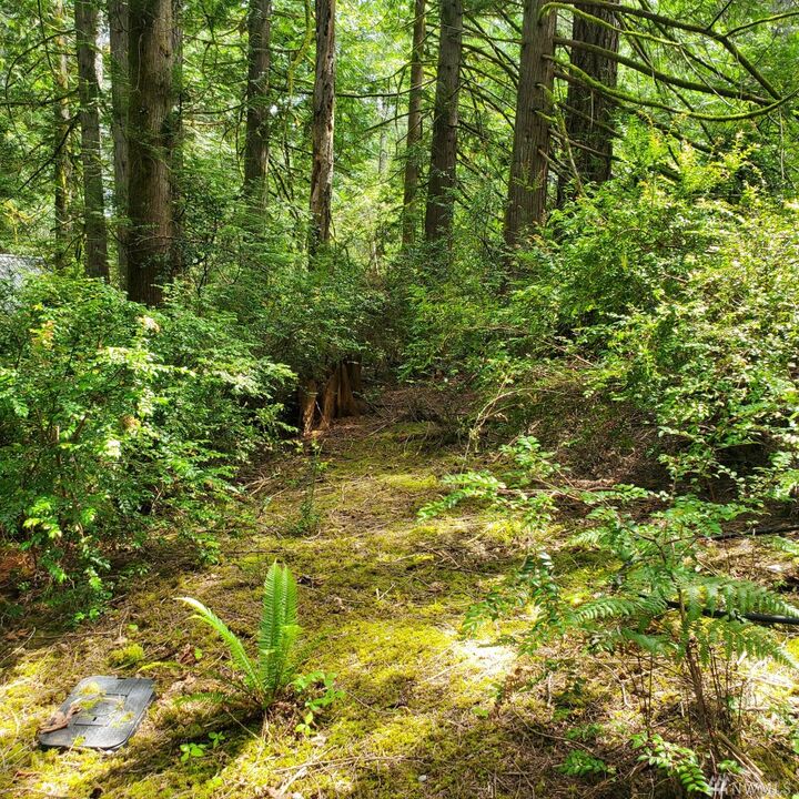 Property Photo:  644 E Pitcairn Place  WA 98584 