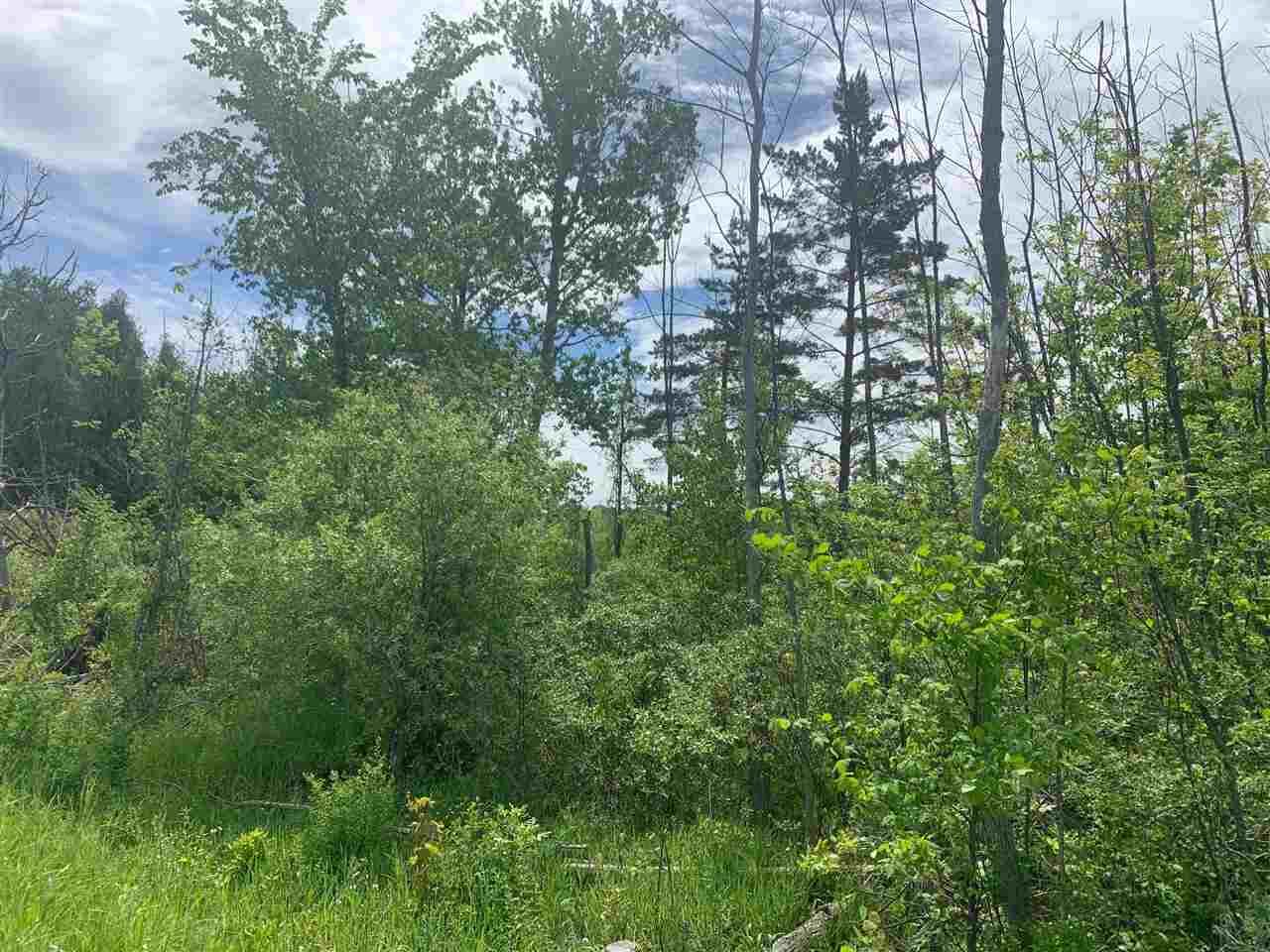 Property Photo:  Tbd Ferry  MI 49720 