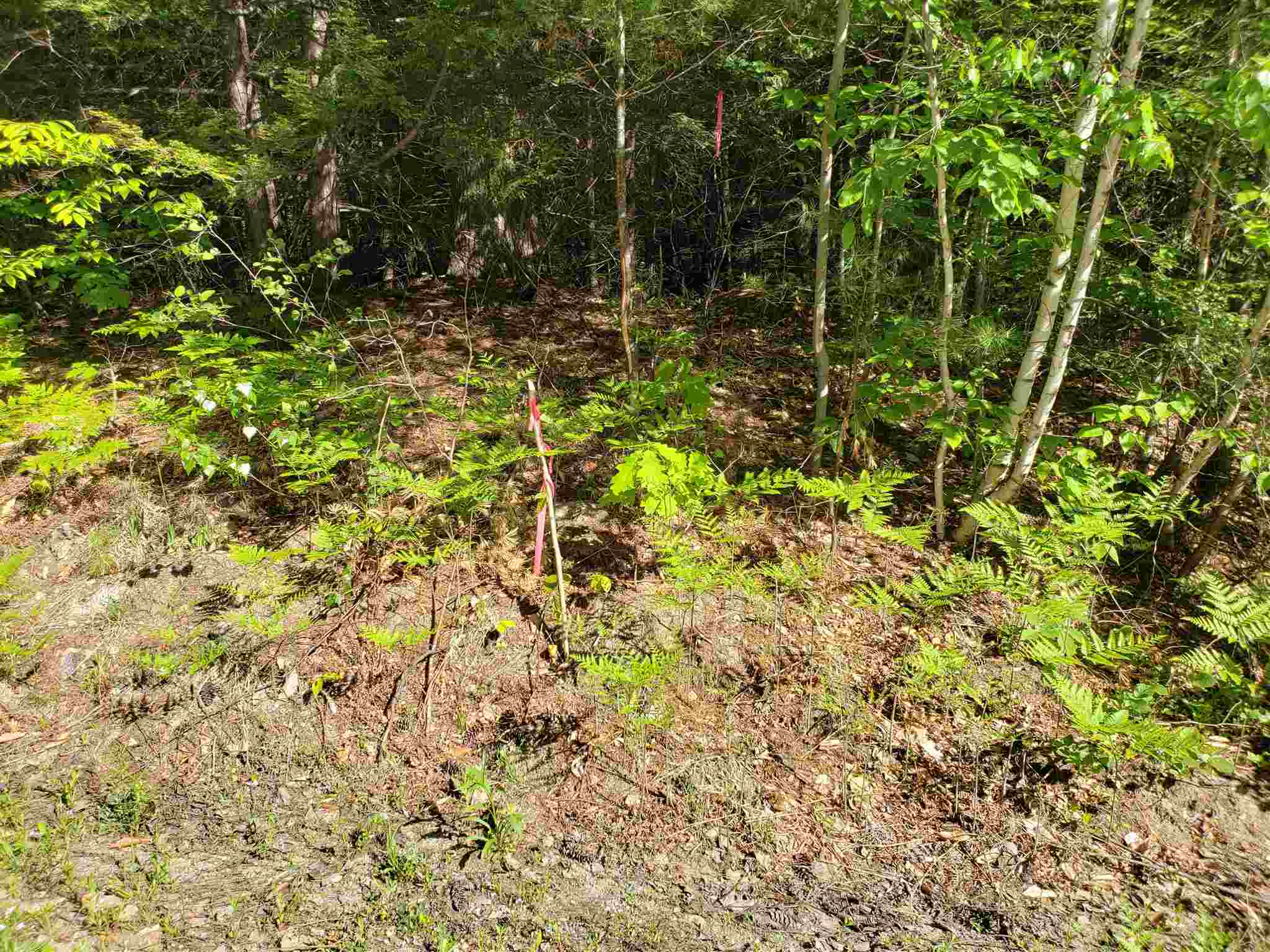 Property Photo:  94B Gallahad Lane  NH 03222 