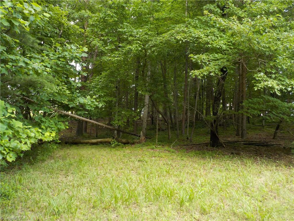 Property Photo:  0 Baux Mountain Road  NC 27019 