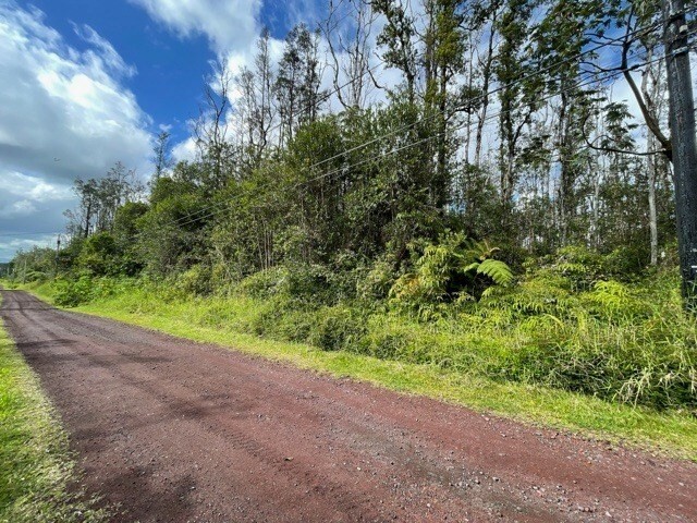 Property Photo:  Hibiscus Dr  HI 96778 
