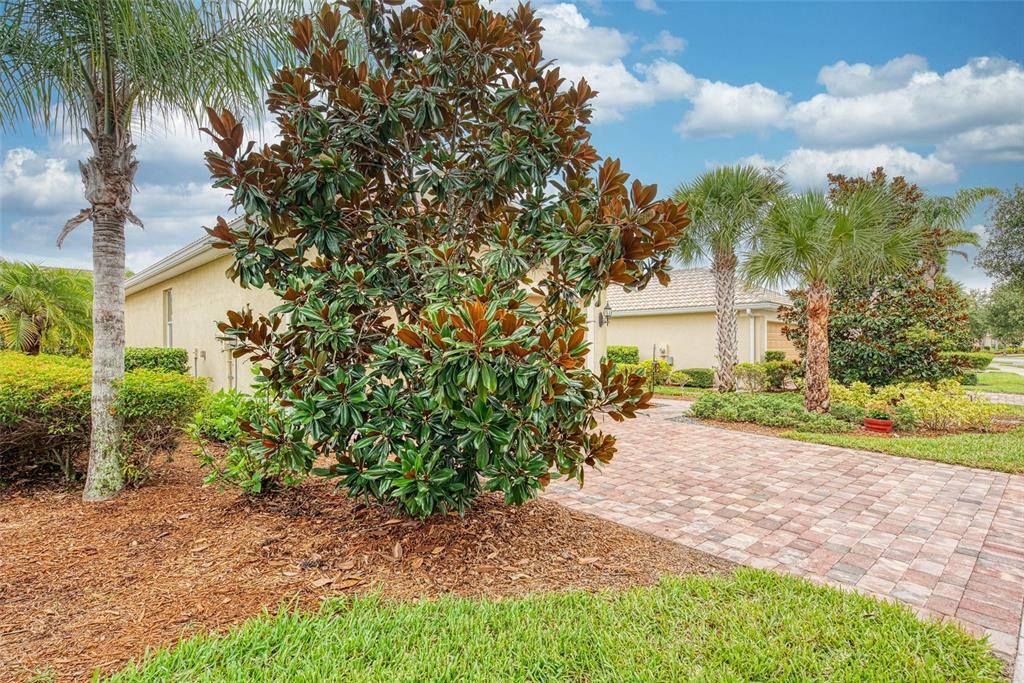 Property Photo:  19256 Lappacio Street  FL 34293 