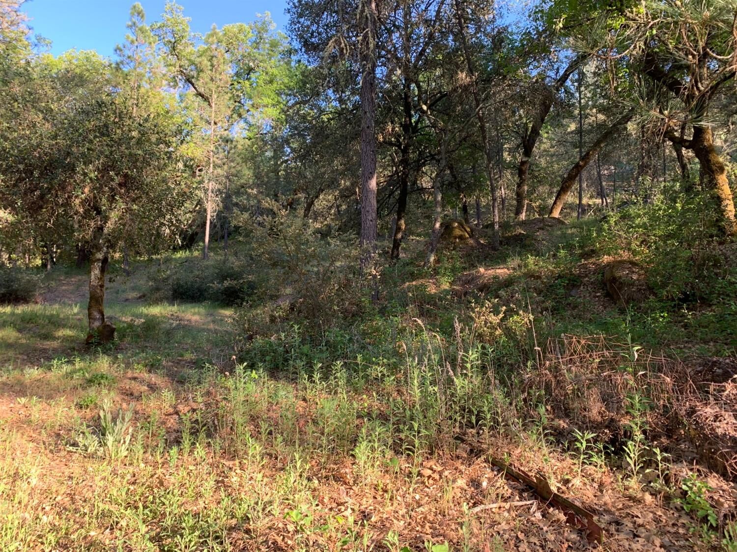 Property Photo:  41 Acres Happy Valley Road  CA 95684 
