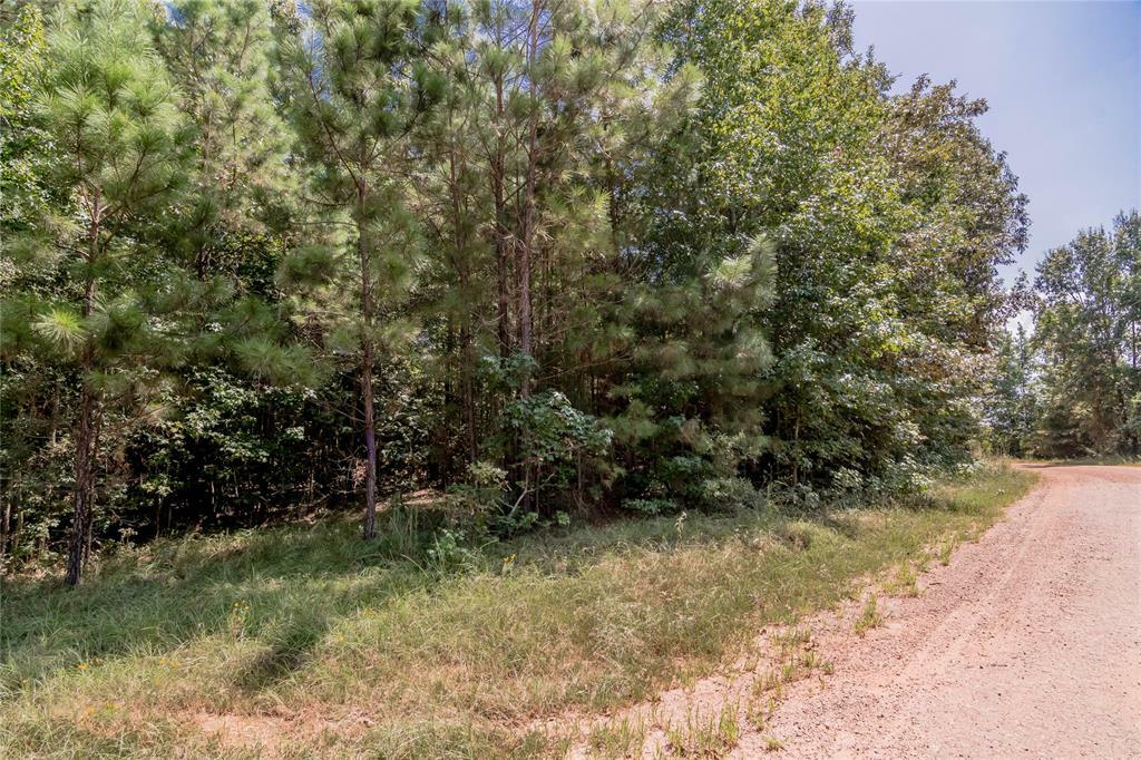 Property Photo:  482 Jeanes Dr. Lots 1-10 Sec  A Jeanes Subdivision  TX 75944 