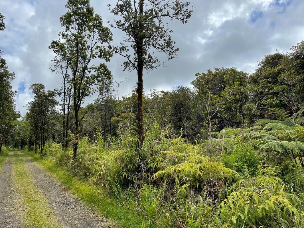 Property Photo:  Road 11  HI 96785 