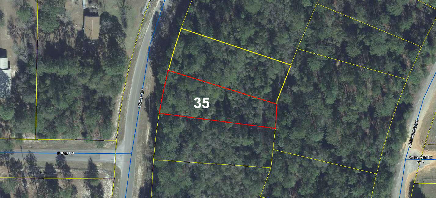 Property Photo:  Lot 35 Trout Drive  FL 32433 