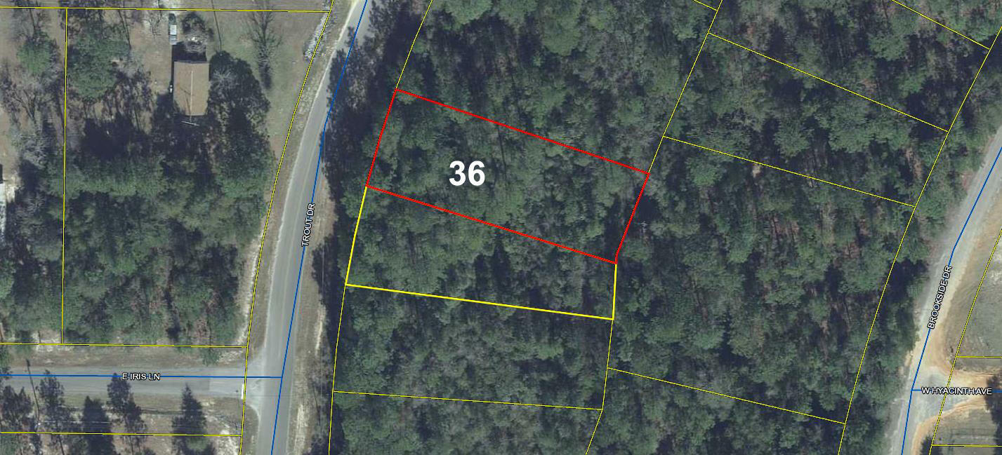 Property Photo:  Lot 36 Trout Drive  FL 32433 