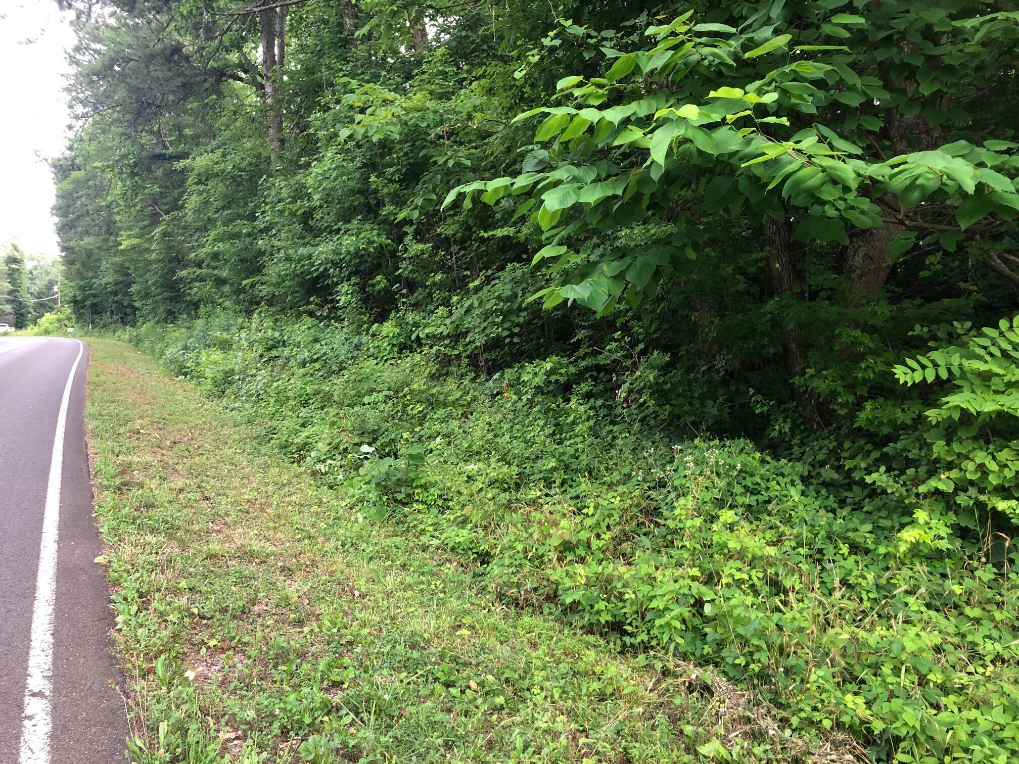 Property Photo:  Lot 4 County Road 675  TN 37303 