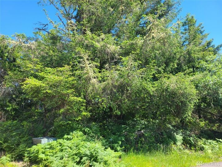 Property Photo: 617 Aster Ct SE WA 98569