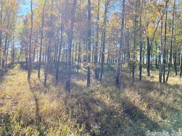Property Photo: Lot 1387 Stonebriar Drive AR 71913