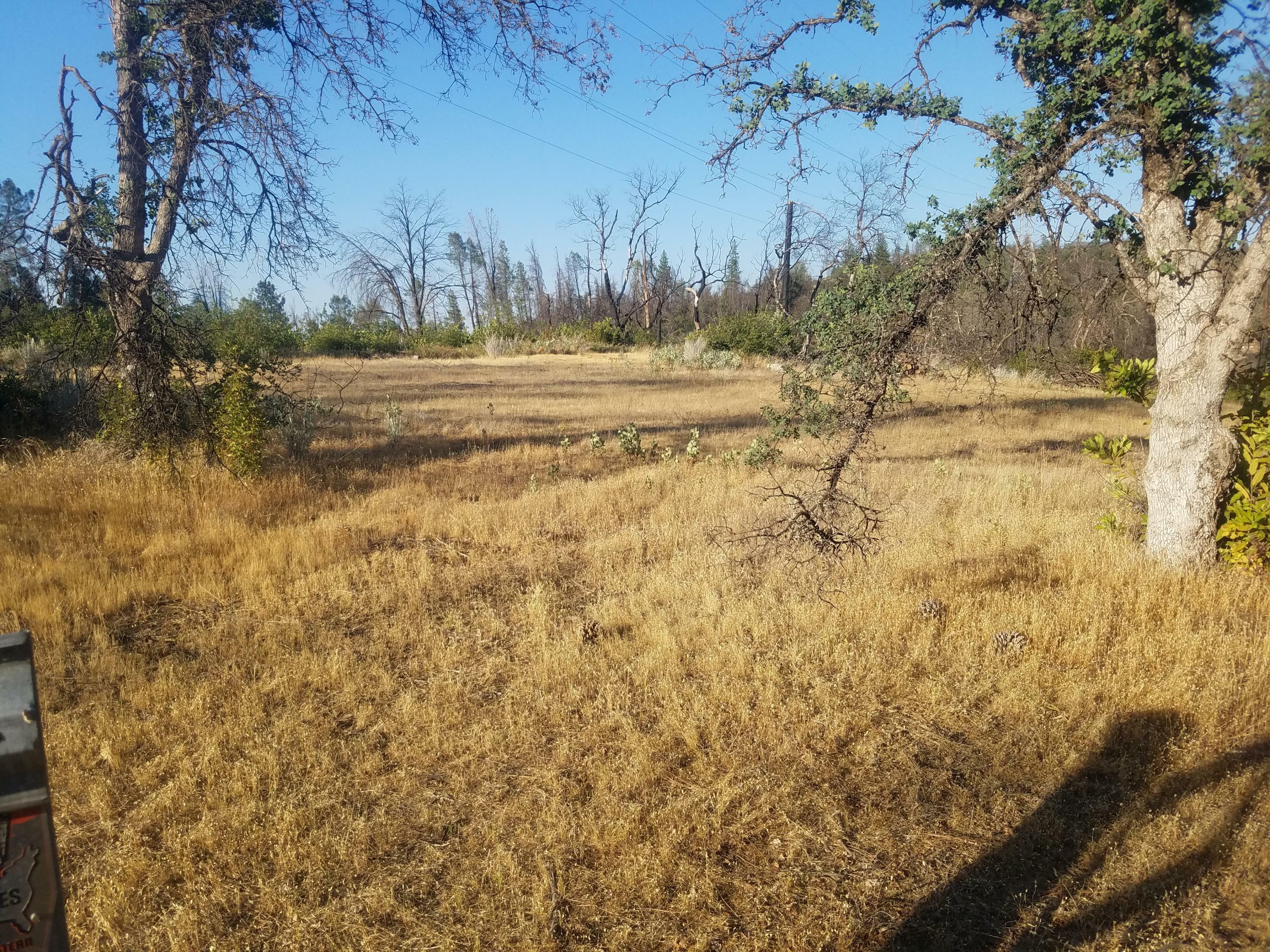 Property Photo:  Shadow Mountain Ln  CA 96087 