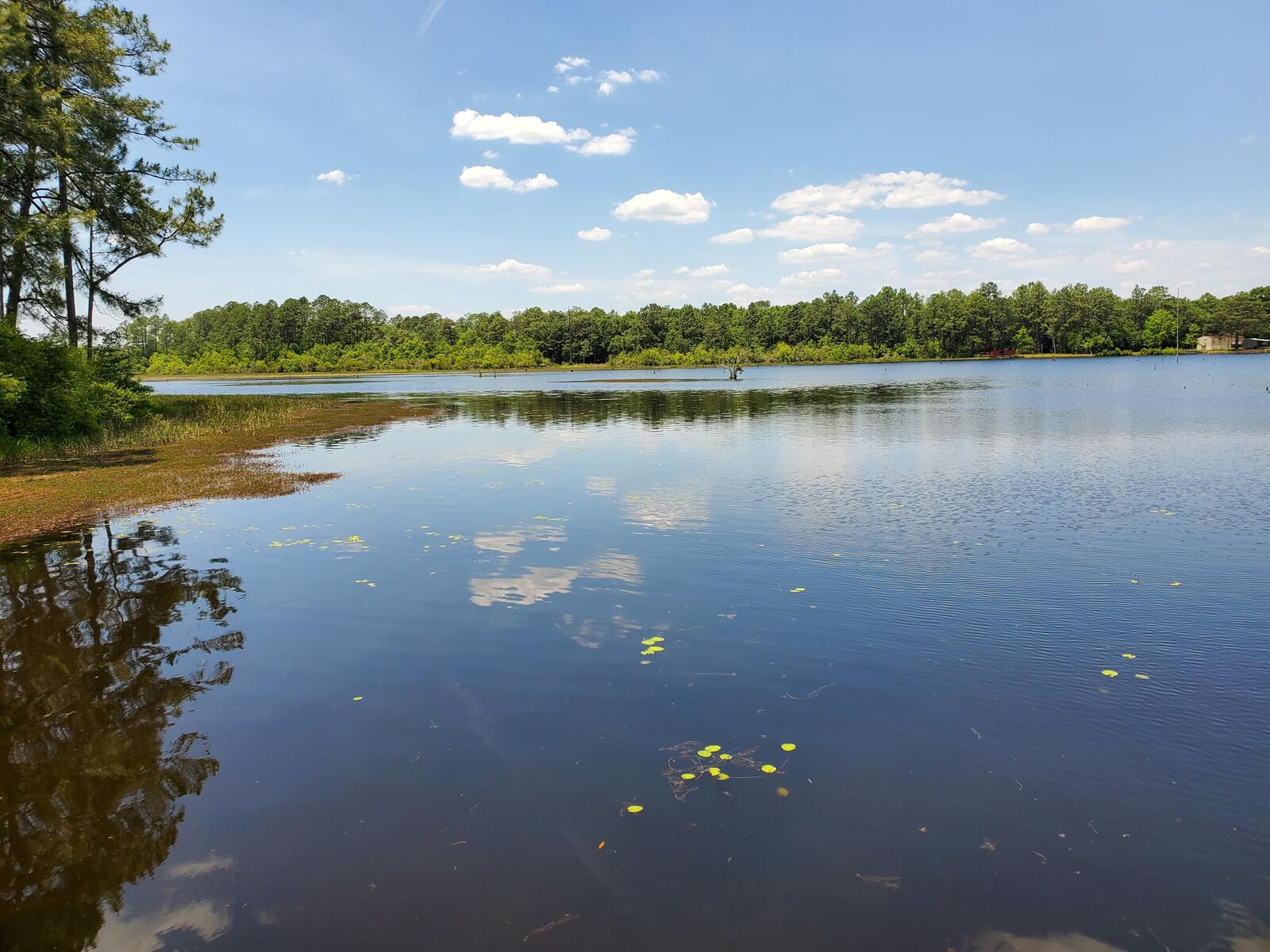 Property Photo:  Lot 12 Ivalt Court  FL 32433 