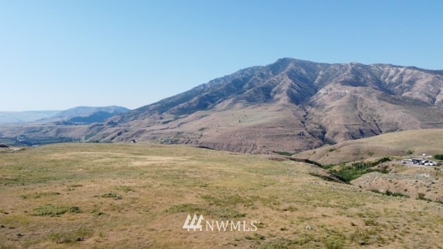 Property Photo:  0 Lot 5 Buckhorn Mountain Road  WA 98846 