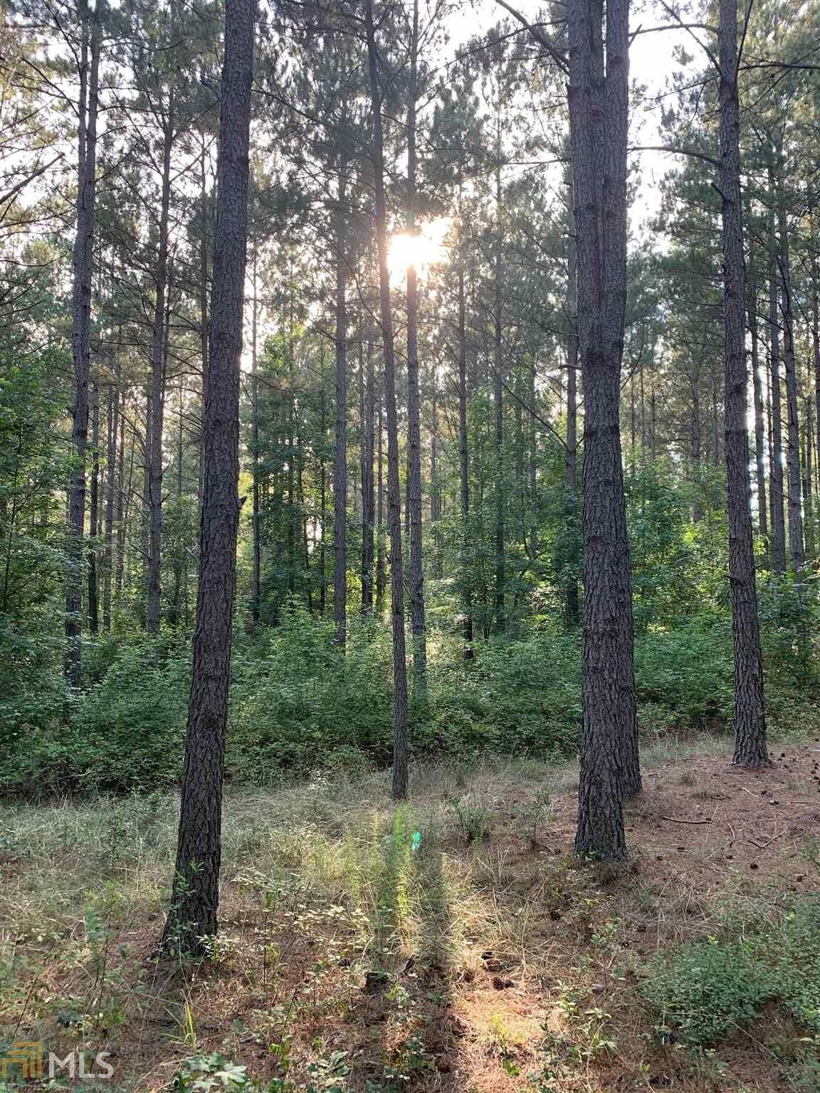 Property Photo: 1001 Beatenbough Road GA 30520