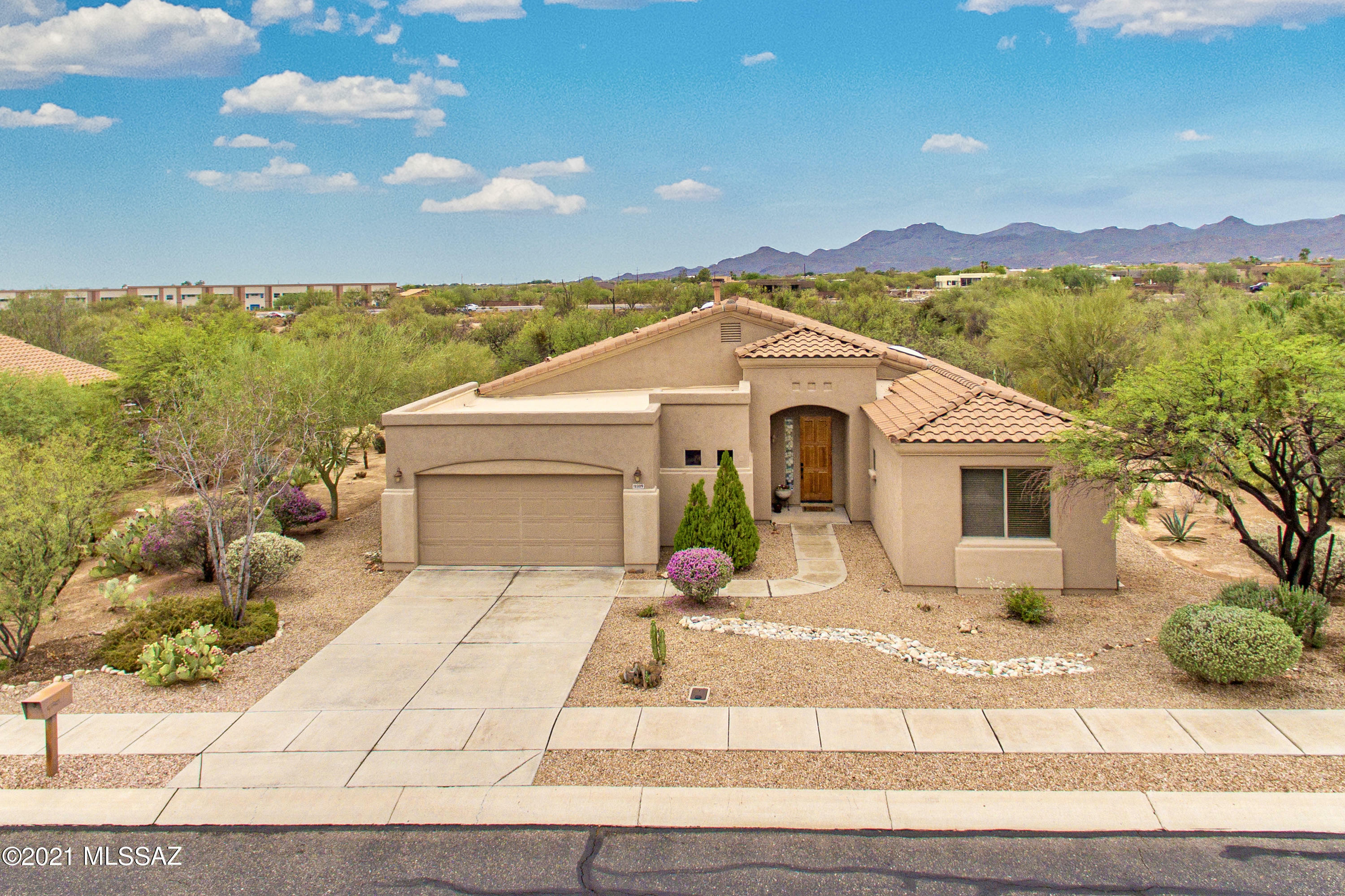 Property Photo:  12309 N Washbed Drive  AZ 85755 