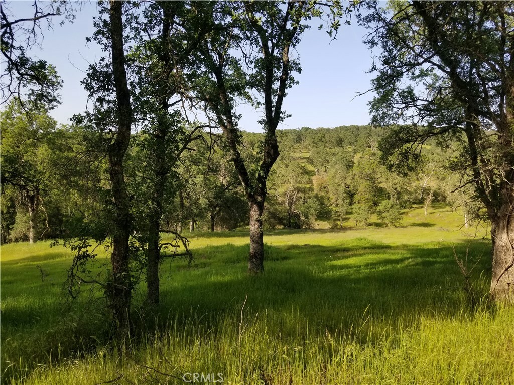 Property Photo:  0 Bethridge Road  CA 95966 