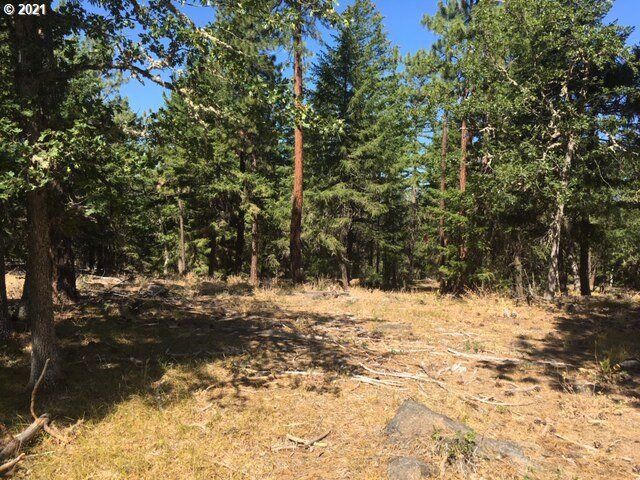 Property Photo:  1 Thompson Tr  WA 98620 