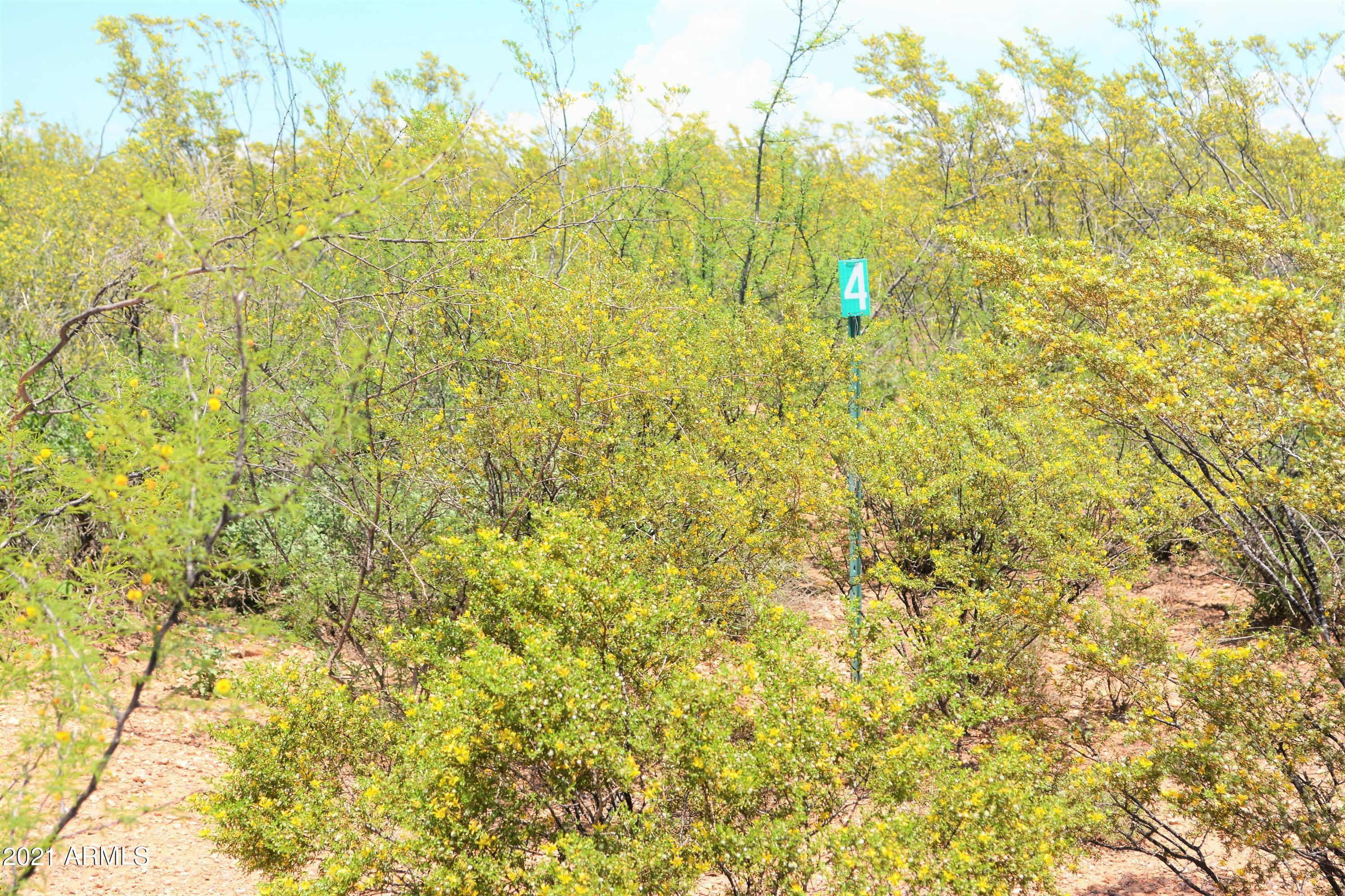 Property Photo:  Tbd E Elijah Place  AZ 85616 