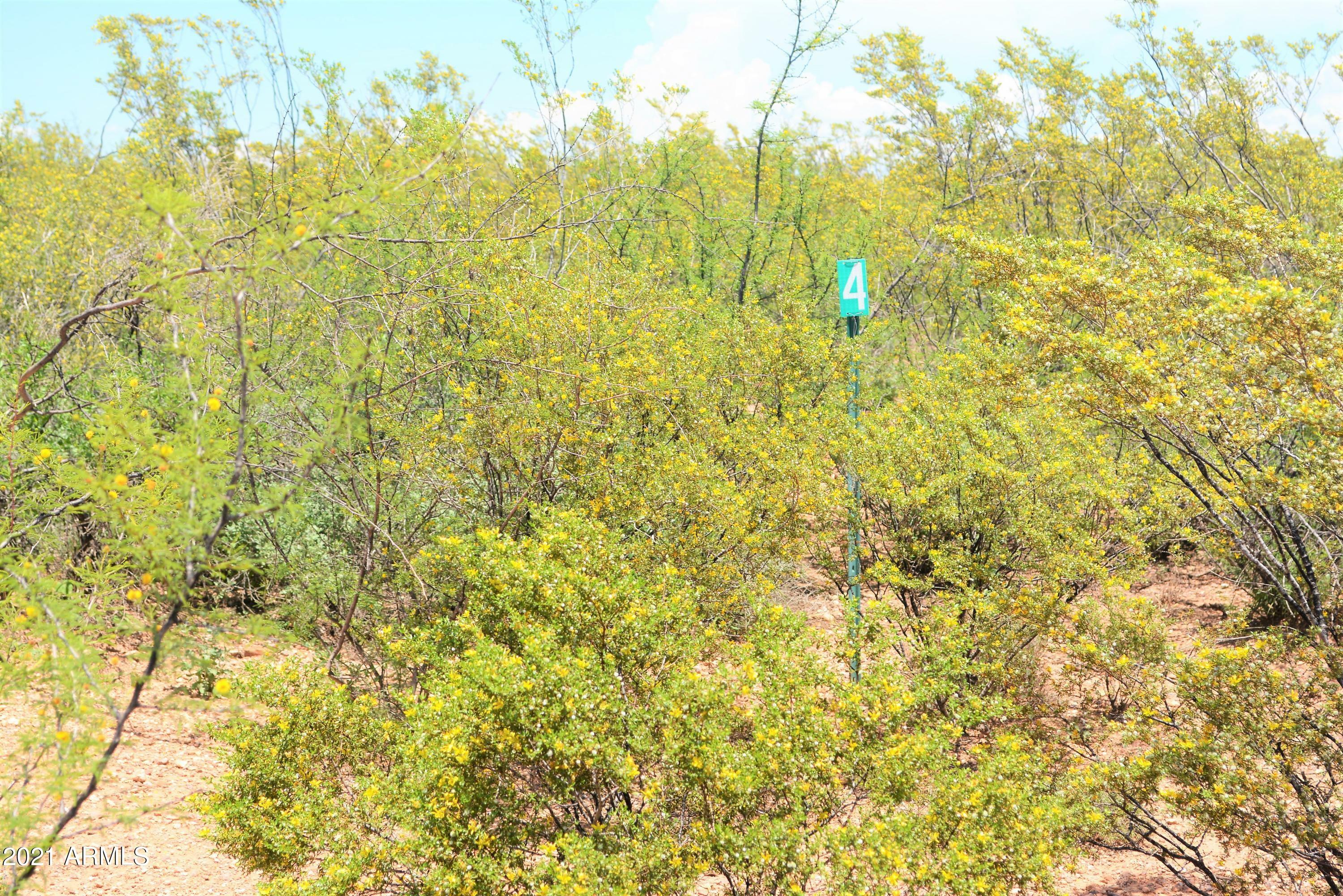 Property Photo: Tbd E Elijah Place - AZ 85616