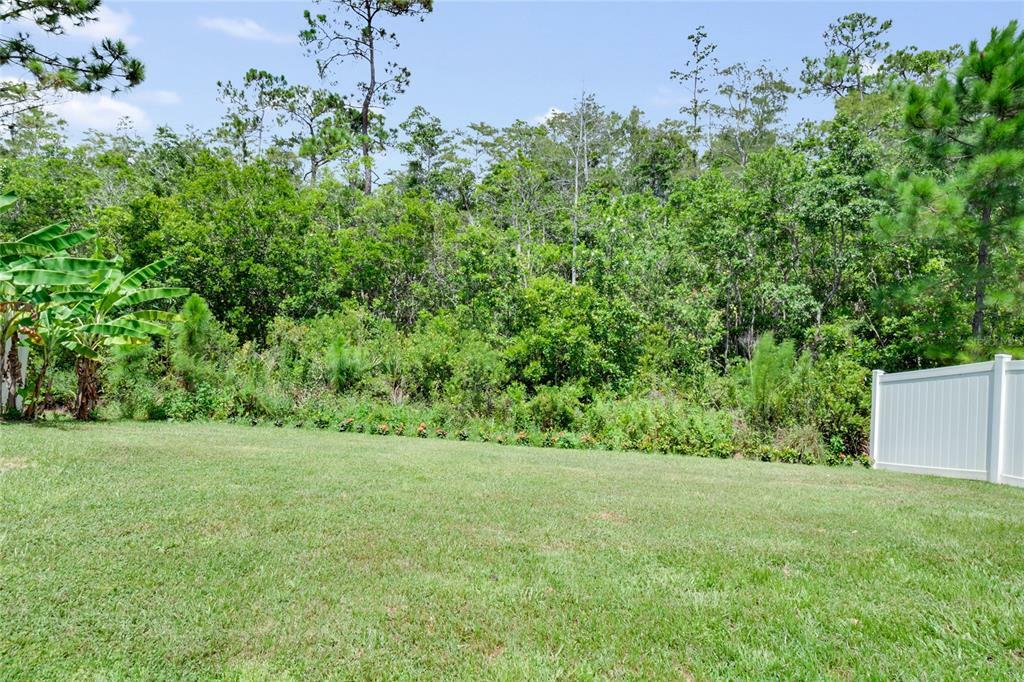 Property Photo:  272 Tanglewood Drive  FL 33896 