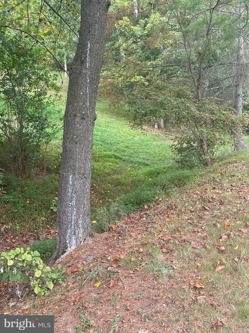 Property Photo:  Frantz Hollow Road  MD 21502 