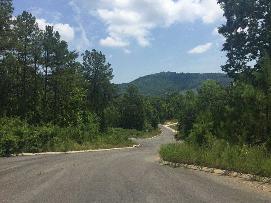 Property Photo:  Lot 2 Deer Crossing  GA 30740 