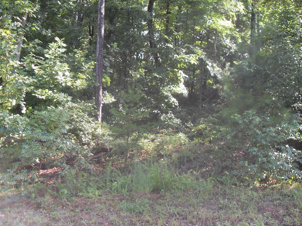 Property Photo:  016 Loblolly Lane  GA 30755 