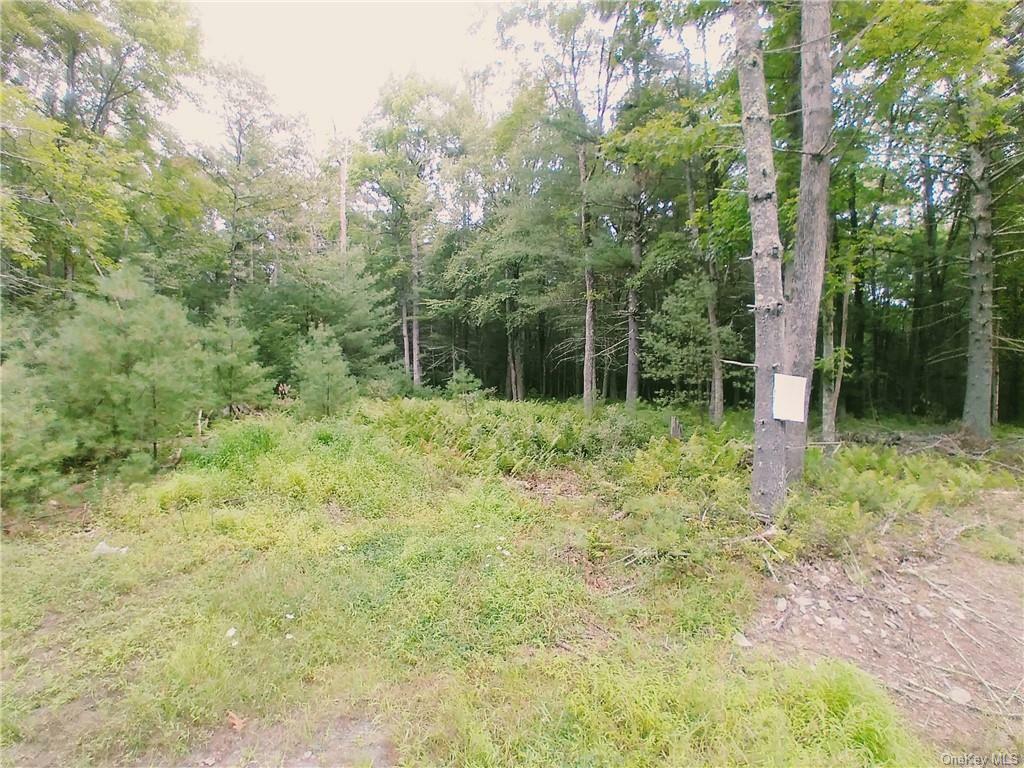 Property Photo:  Lot 7 Haring Road  NY 12737 