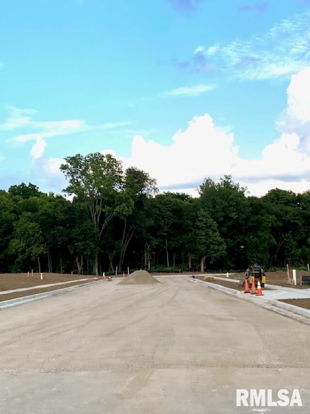 Lot 12 & 13 Hickory  Elmwood IL 61529 photo