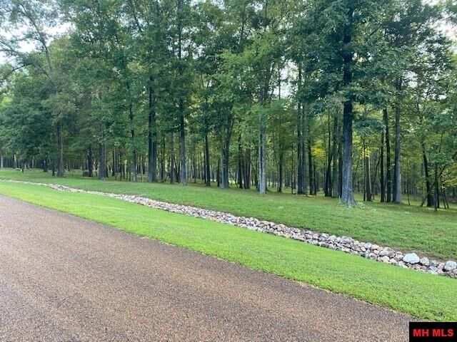 770 Cougar Drive  Mountain Home AR 72653 photo