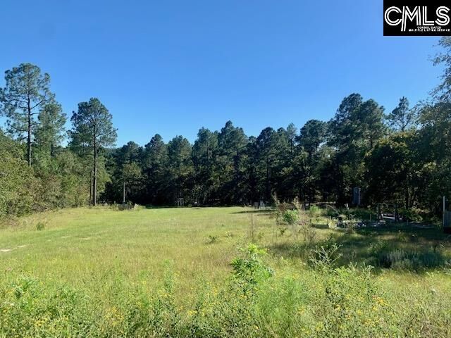 Property Photo:  283 Clermont Lakes  SC 29073 