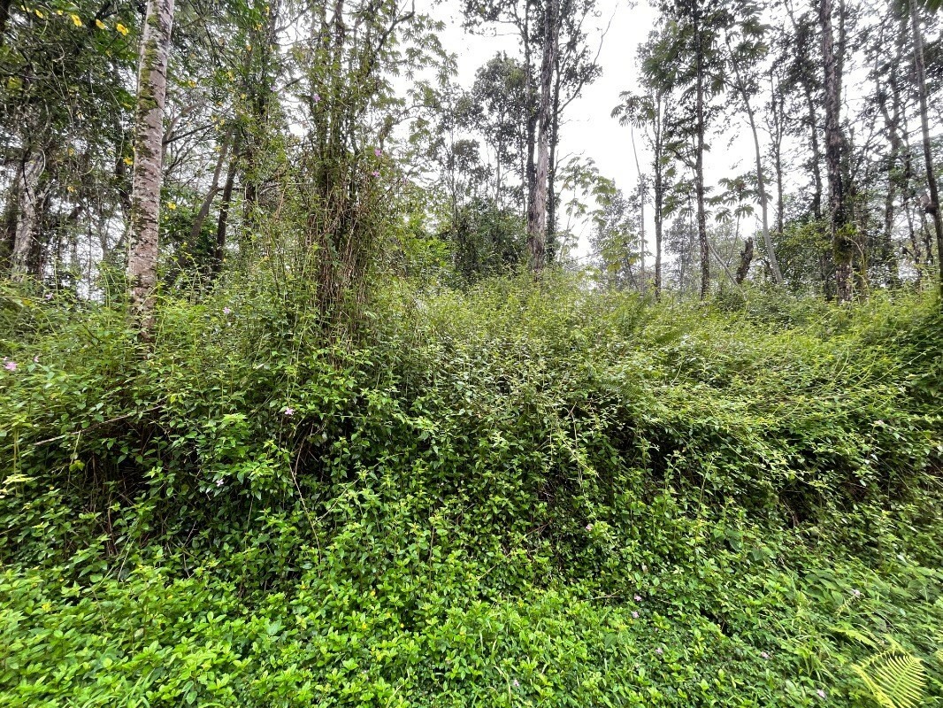 Property Photo:  Holiday Rd  HI 96778 