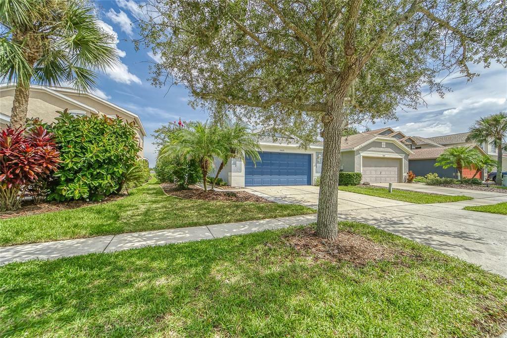 Property Photo:  11620 Crest Creek Drive  FL 33569 