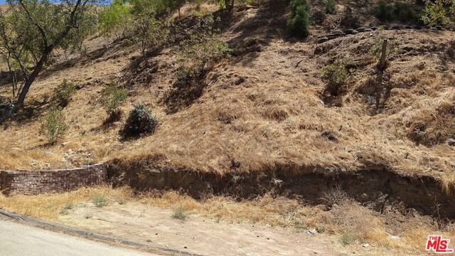 Property Photo: 2816 Eva Ter CA 90031