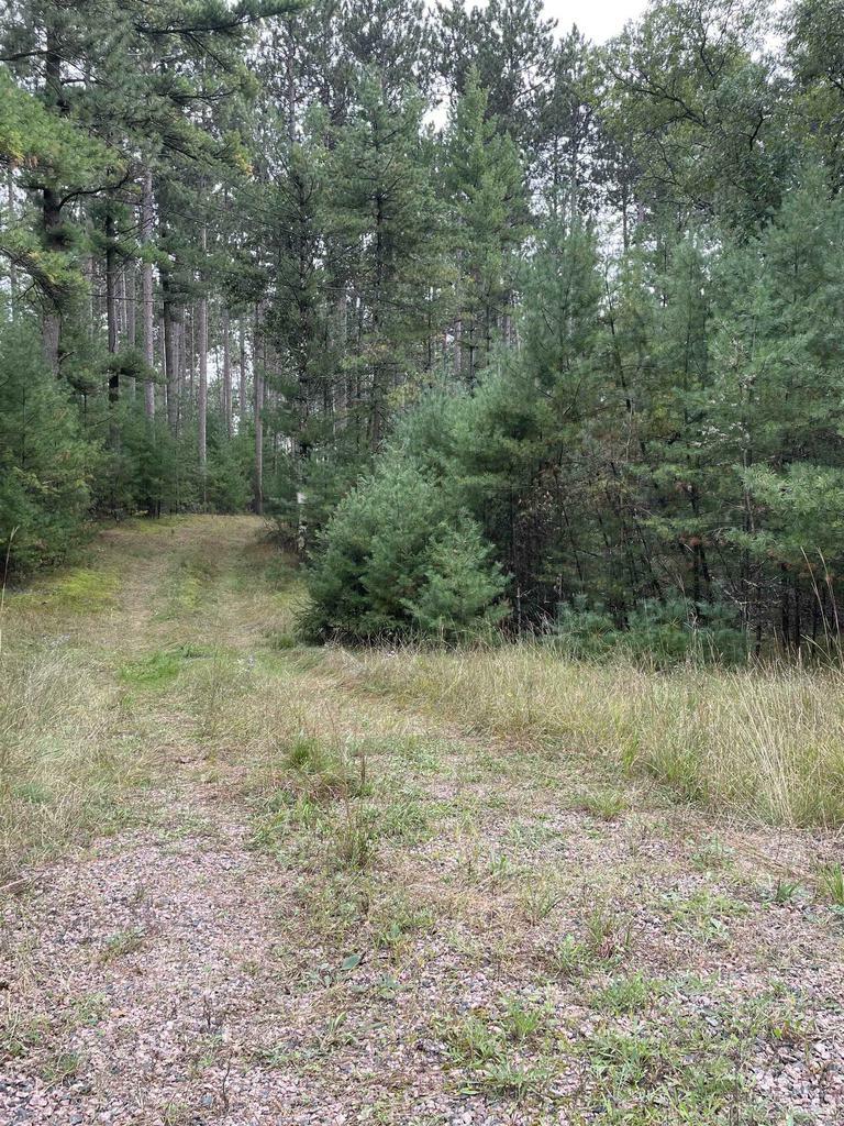 Property Photo:  8.457 Acres Townline Road Lot 13 Of Wccsm 1096  WI 54494 