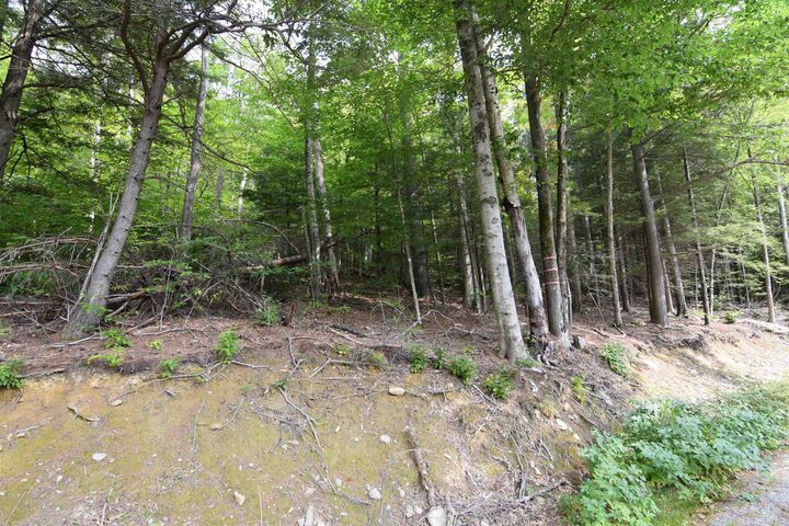 Property Photo: 49 &Amp 50 Tree Line Road NH 03285
