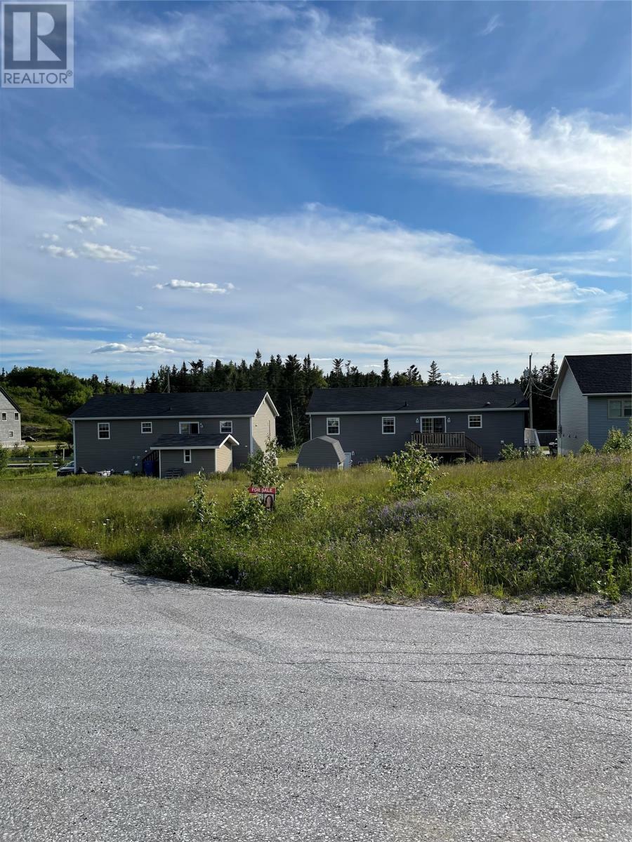 6 Jacks Place  Deer Lake NL A8A 0B6 photo
