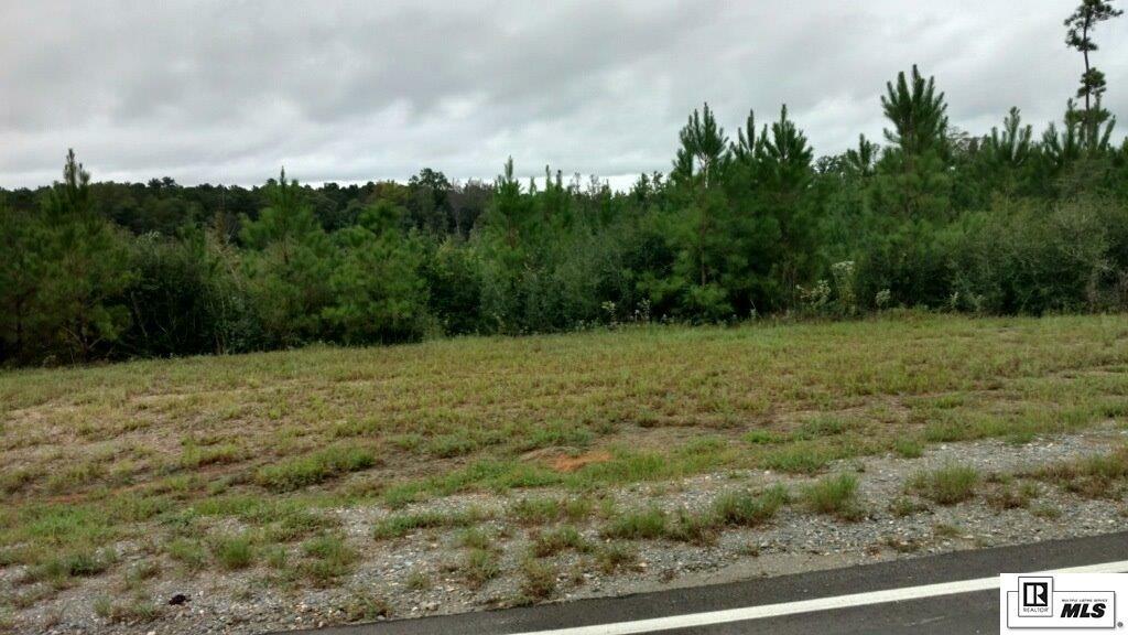 Lot 11 Tara Road  Calhoun LA 71225 photo